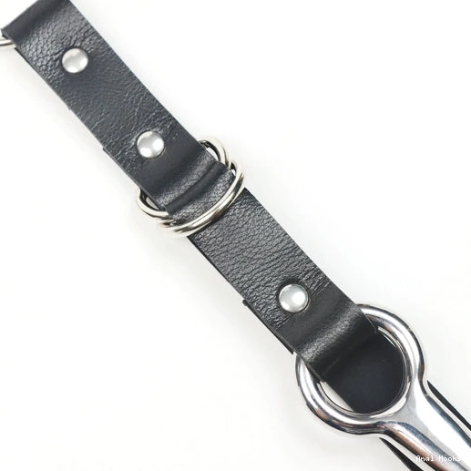 Anal Hooks Anal 5853 with Leash Hook EverydayUse Collar Kinky and 0802